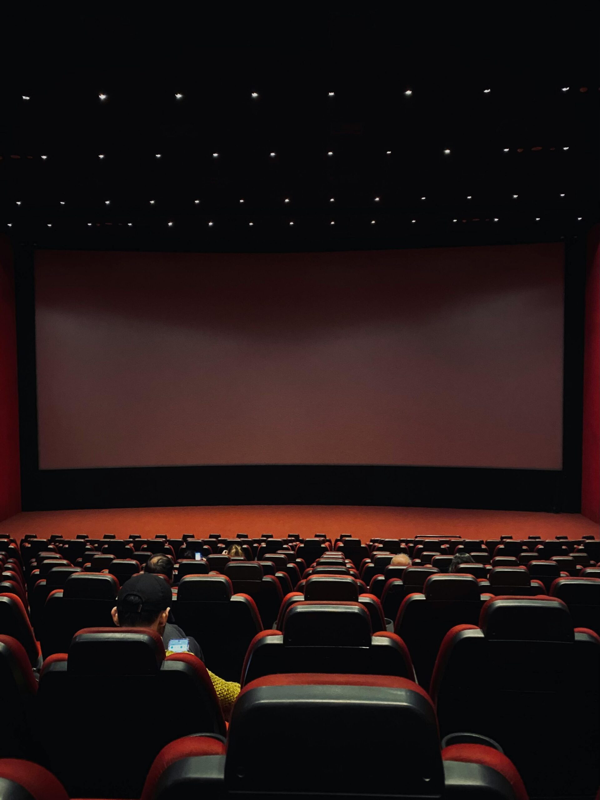 Dimly lit cinema hall with red seats and a blank screen. Minimal audience.
