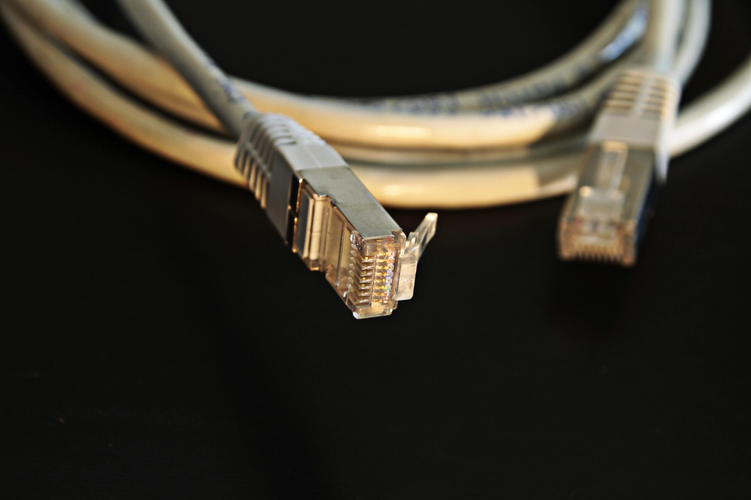 Detailed close-up of a network Ethernet cable showing connectors on a black background.