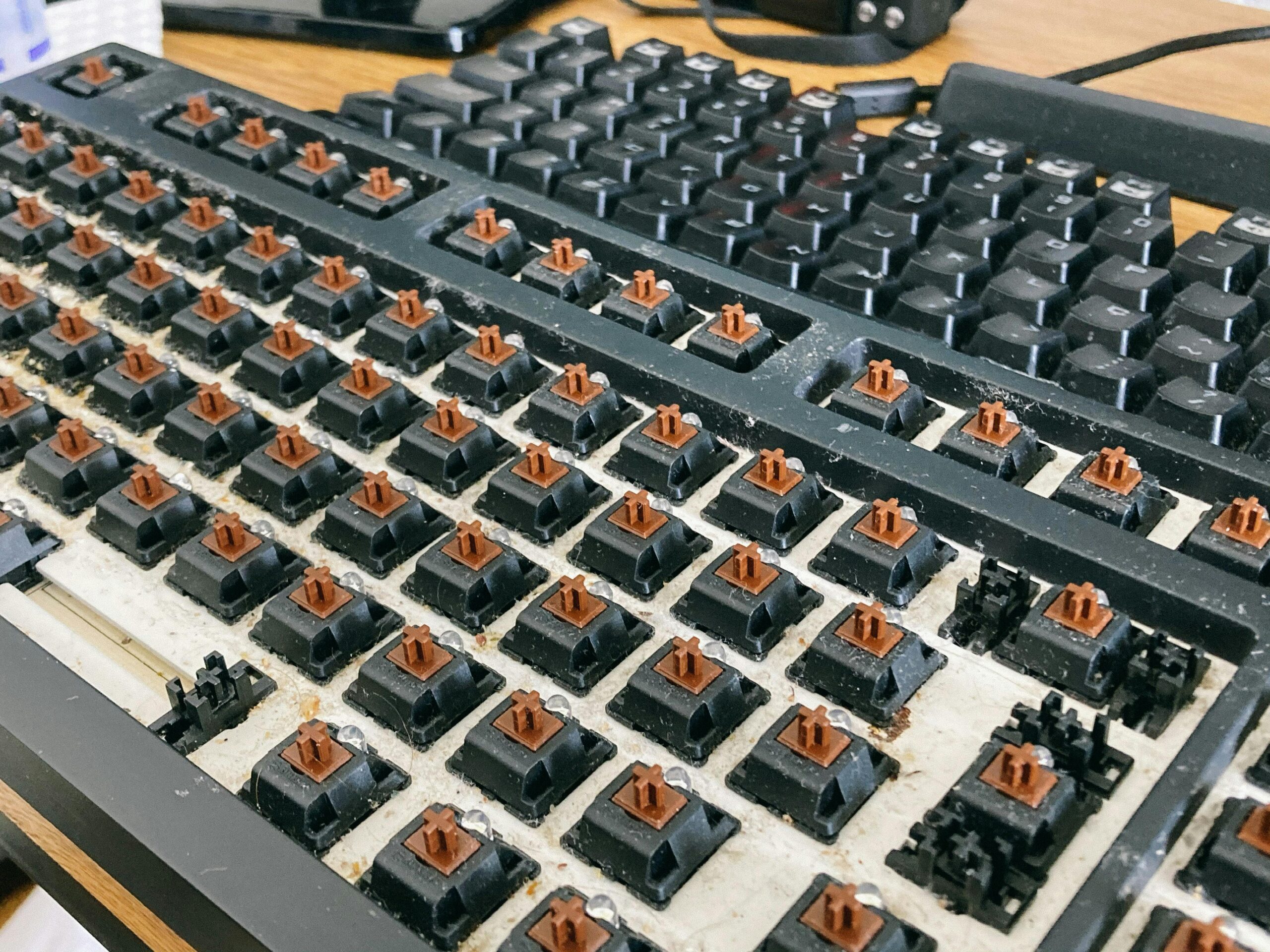 Close-up of mechanical keyboard switches with keycaps removed, ready for cleaning.